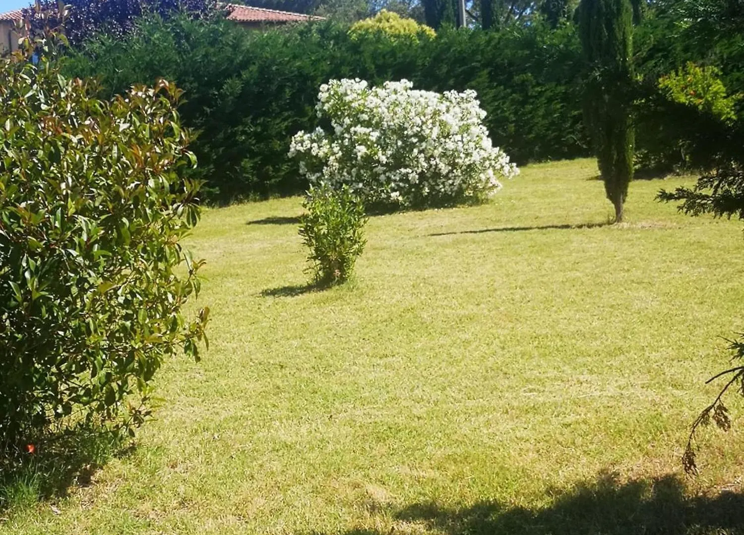 Podere Simonetta - A6 Cecina