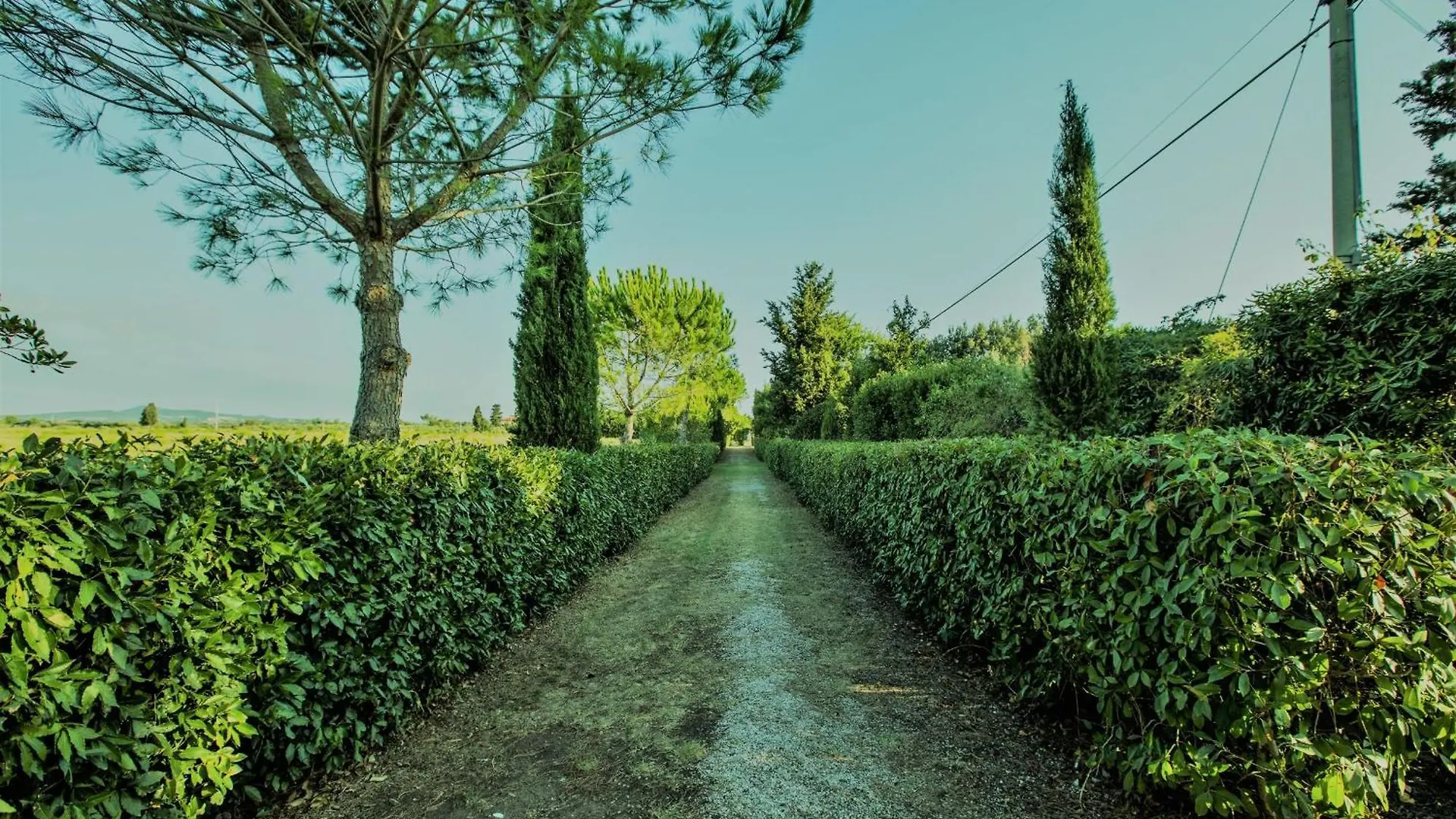 Holiday home Podere Simonetta - A6 Cecina