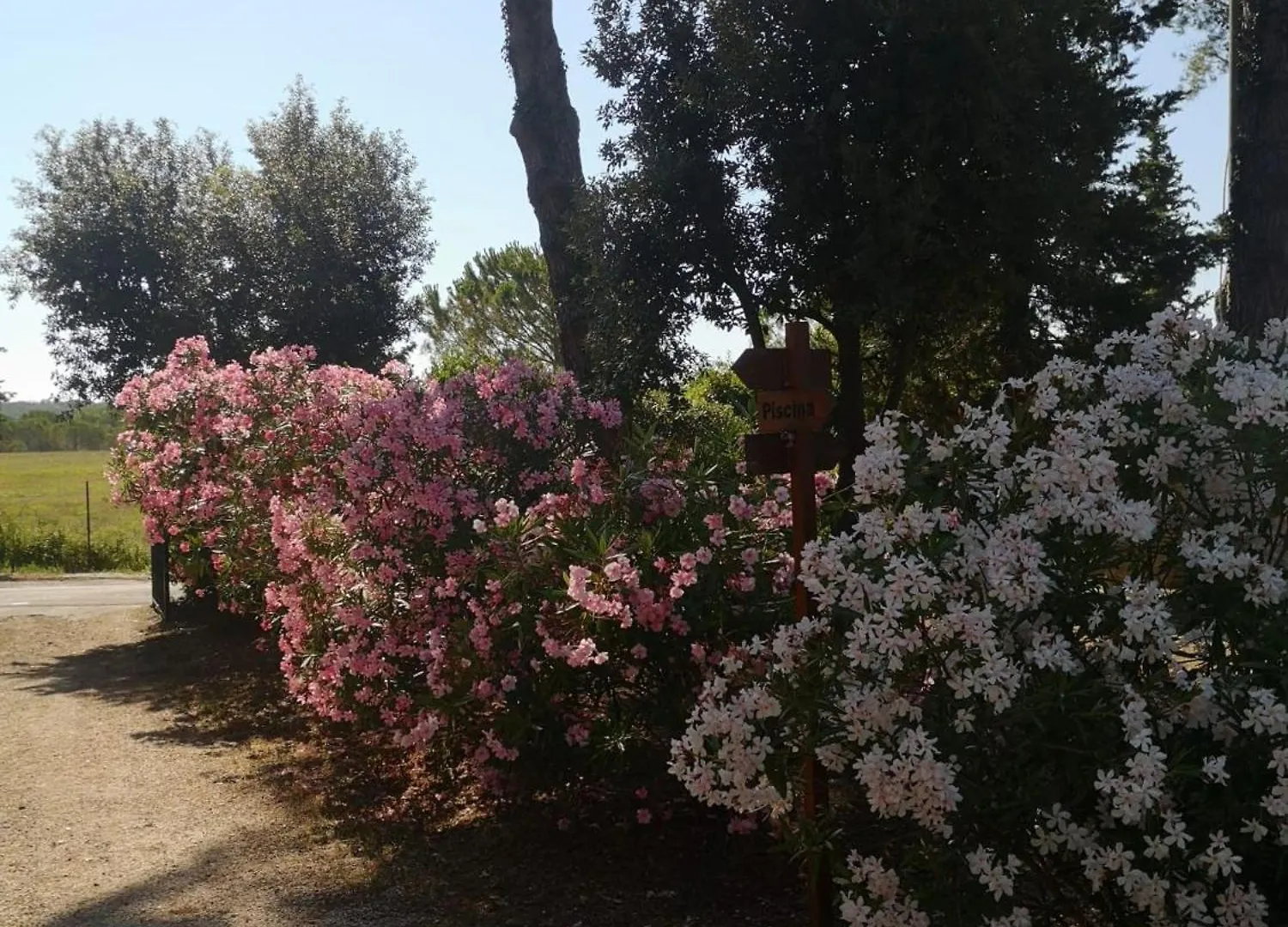 Holiday home Podere Simonetta - A6 Cecina